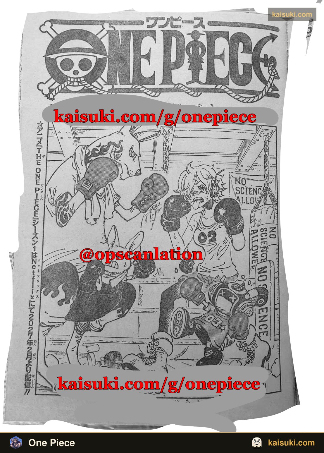       One   Piece 1196 Page 1